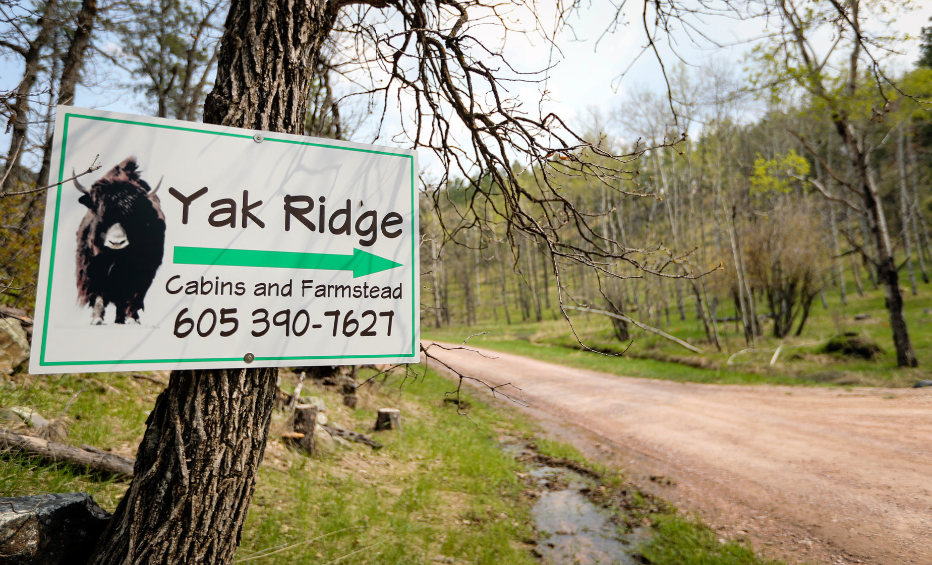 Yak Ridge Cabins and Farmstead